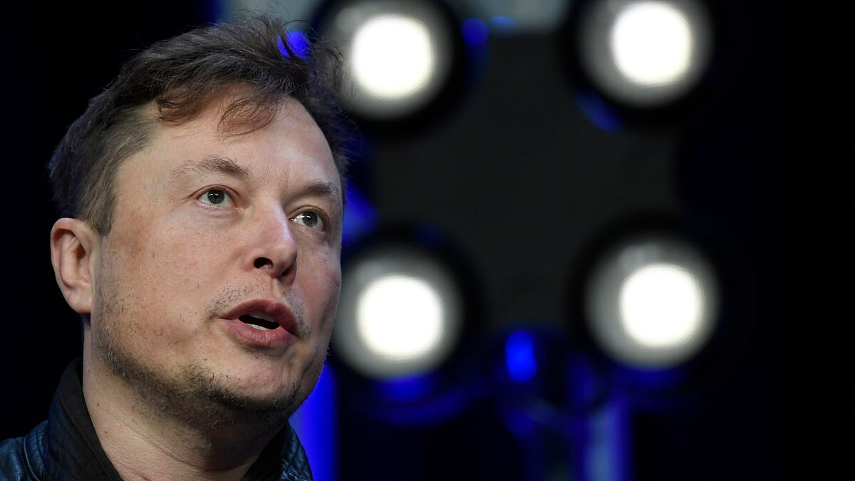 Elon Musk Teases Twitter With A Picture Of His Sex Tape Marca Elon Musk Teases Twitter With A Picture Of His Sex Tape Marca