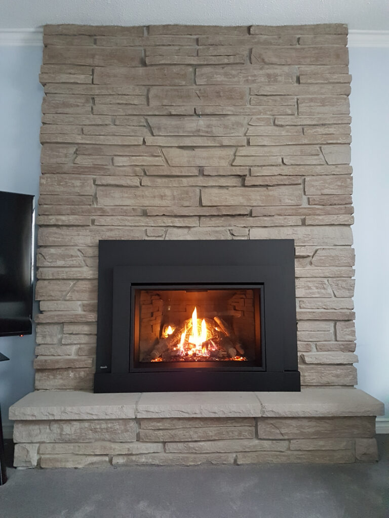 Enviro EX35 Gas Fireplace Insert Friendly FiresFriendly Fires