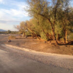 Furnace Creek Campground Death Valley NP Death Valley National Park