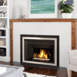 Legend G4 Insert Gas Insert Home Gas Fireplace