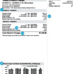 PG E Standard Gas And Electric Bill And Statement Page 3 Electric Usage
