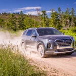 2020 Hyundai Palisade GasRebate