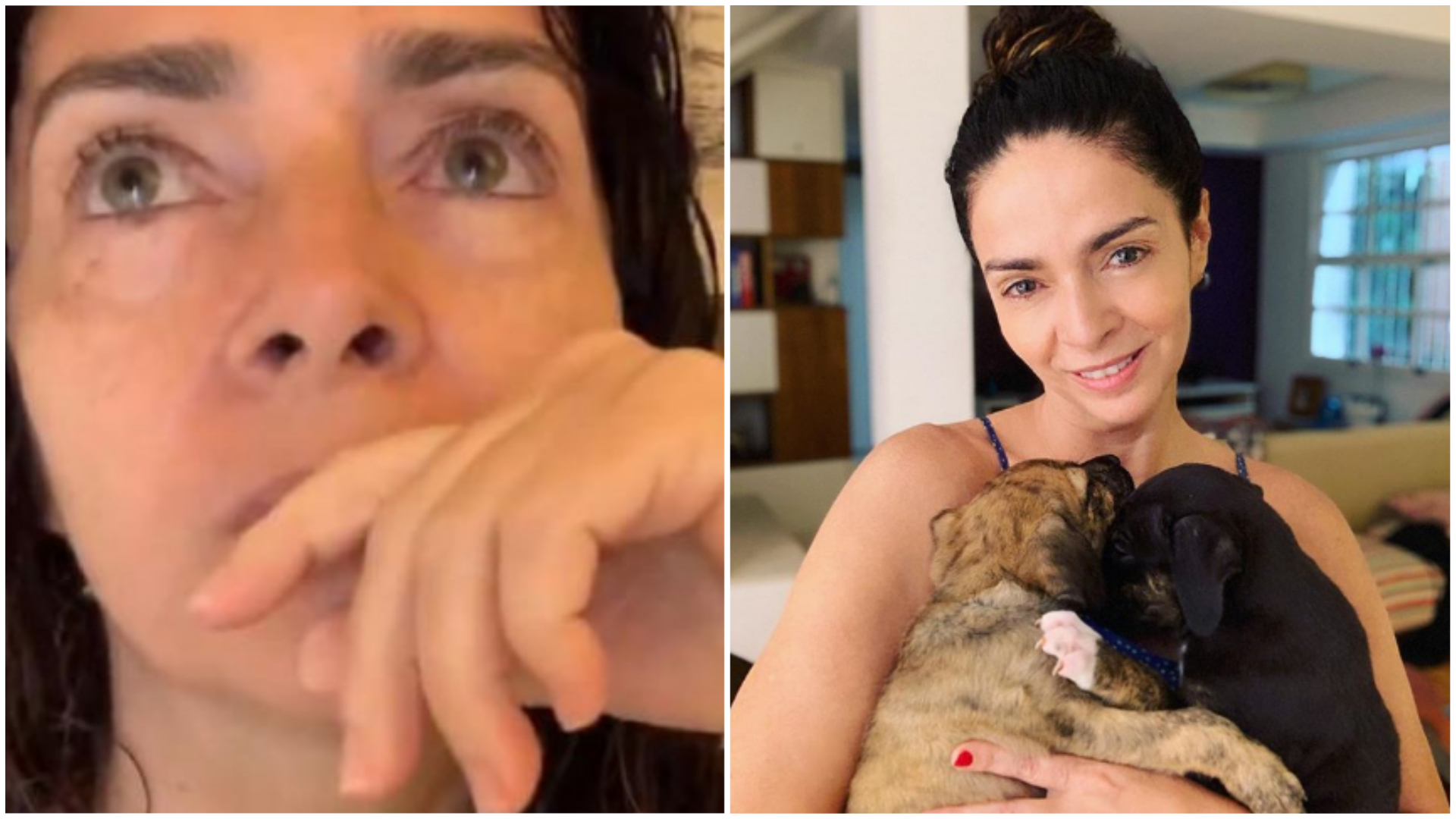 Claudia Ohana Rebate ONG E Nega Ter Abandonado Cachorros