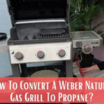 How To Convert A Weber Natural Gas Grill To Propane Meat Answers