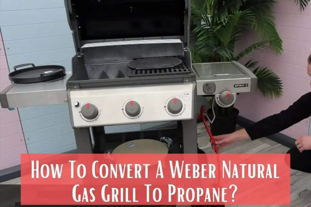 How To Convert A Weber Natural Gas Grill To Propane Meat Answers