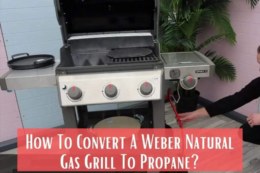 How To Convert A Weber Natural Gas Grill To Propane Meat Answers How To Convert A Weber Natural Gas Grill To Propane Meat Answers
