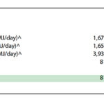 Hyundai Gas Rebate Calculator GasRebate