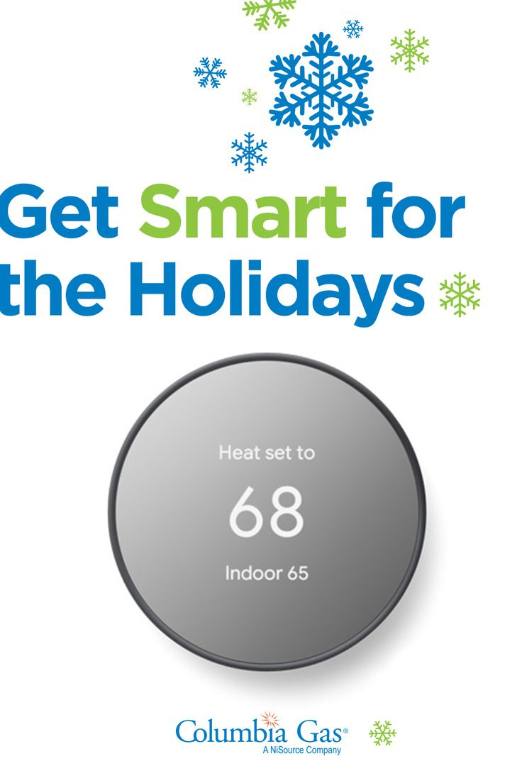 Pin By Lois Haller On F Google Nest Thermostat Nest Thermostat 