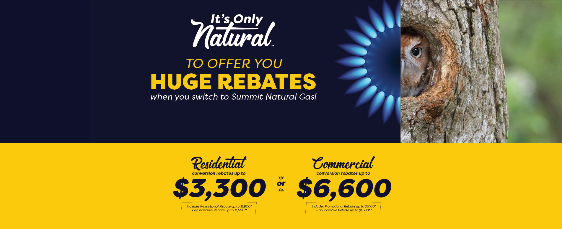 Rebates Summit Utilities Inc 
