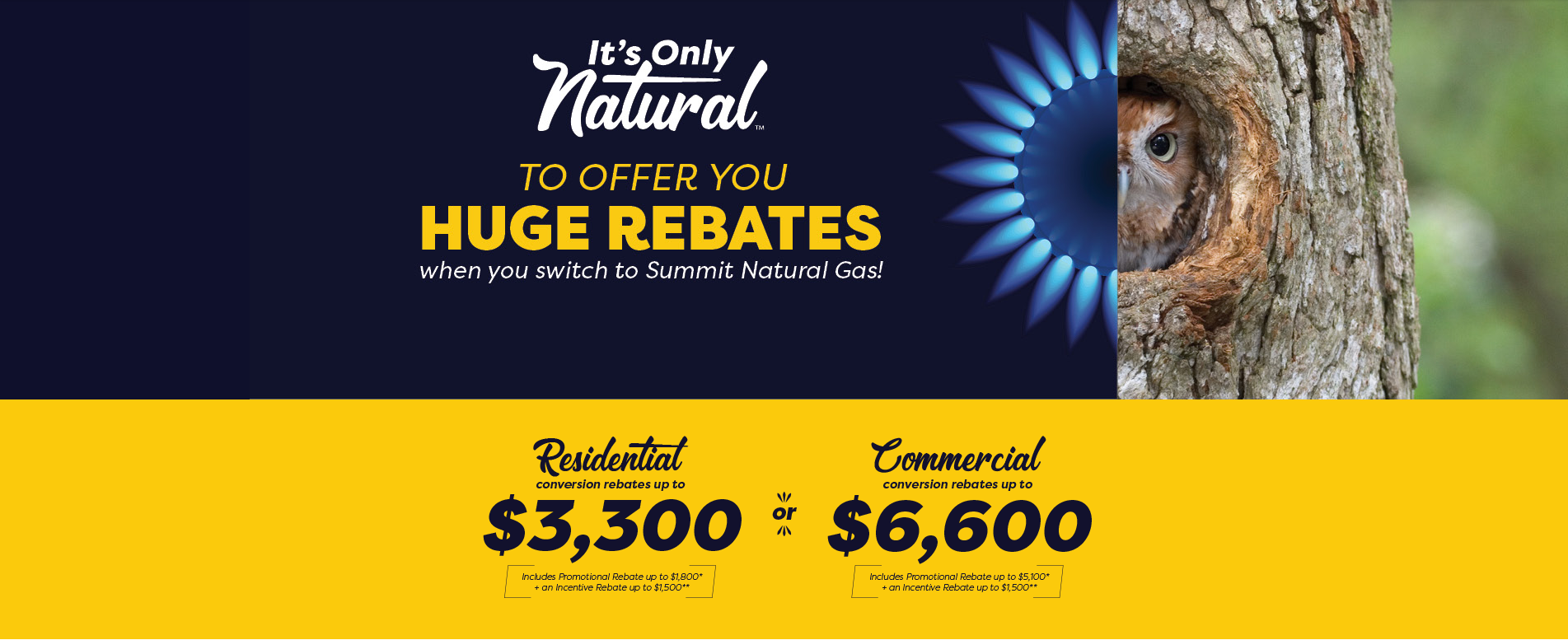 Rebates Summit Utilities Inc Rebates Summit Utilities Inc