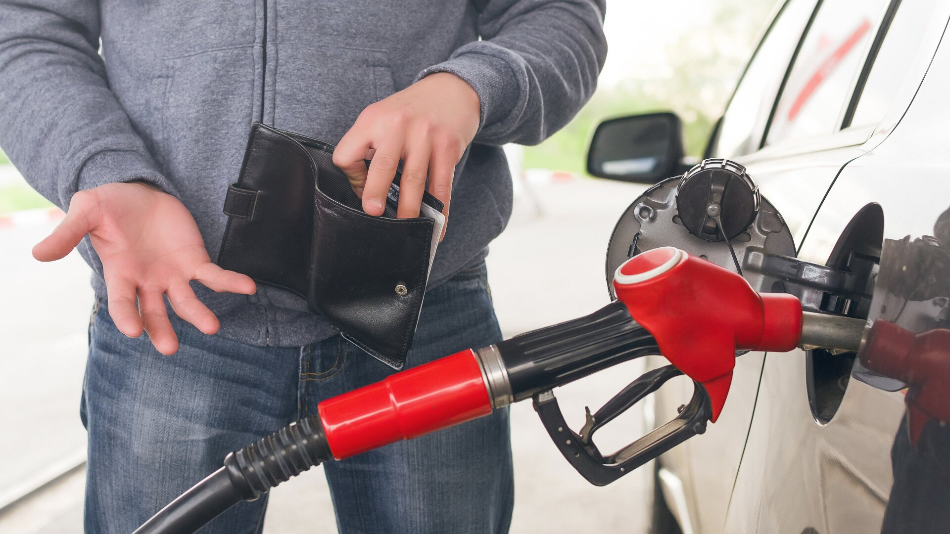 Regola Club Mezzanotte Consumare Poca Benzina Fidanzata Equatore Estinzione Regola Club Mezzanotte Consumare Poca Benzina Fidanzata Equatore Estinzione