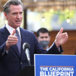 The California Gas Tax Rebate Governor Gavin Newsom s Proposal Explained
