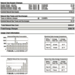 Understanding Your Bill With NYSEG In New York State CallMePower