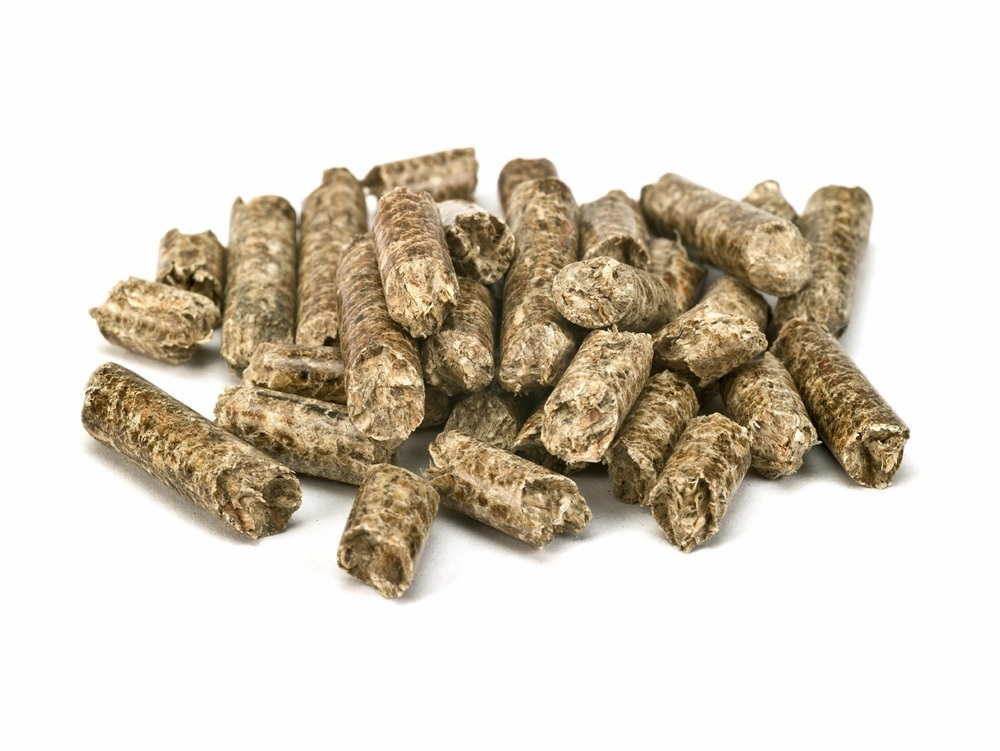 Wood Pellet Boiler Rebates Available In Vermont Biomassmagazine