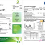 Australia Energy Australia Gas Utility Bill Template In Word And PDF