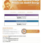 California Ambit Energy Free Energy Energy