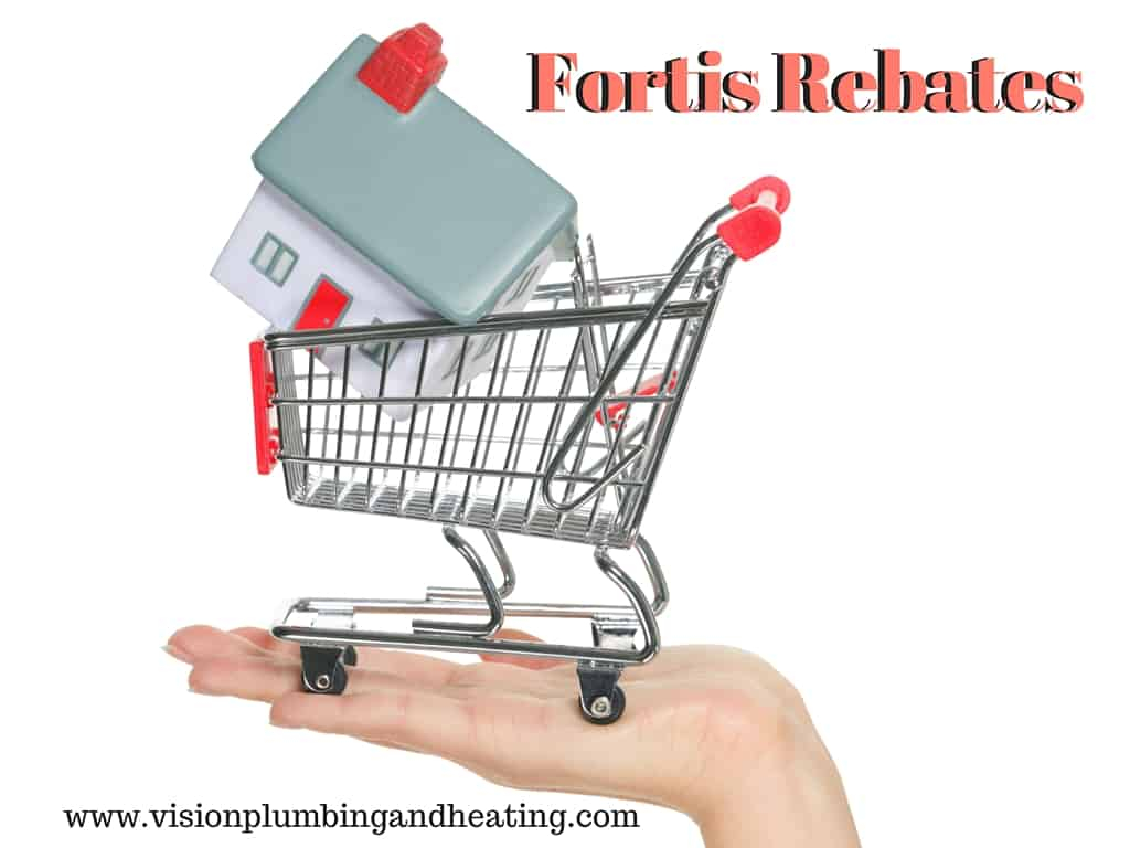 Fortis Rebates Vision Mechanical Ltd 