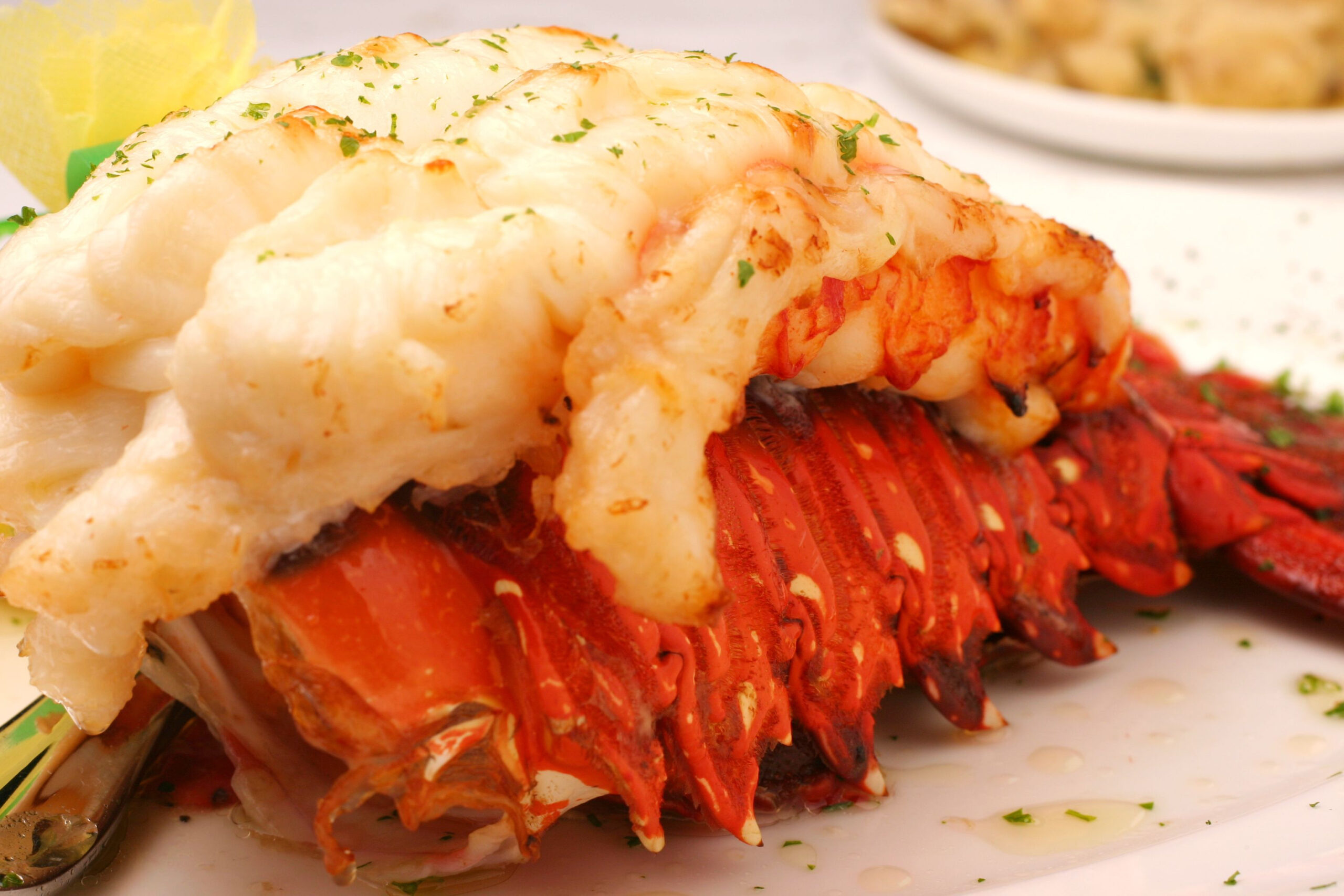 How To Cook A 1 Pound Thawed Lobster Tail EHow Lobster Recipes How To Cook A 1 Pound Thawed Lobster Tail EHow Lobster Recipes