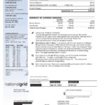 Understanding Our Bills Charges National Grid