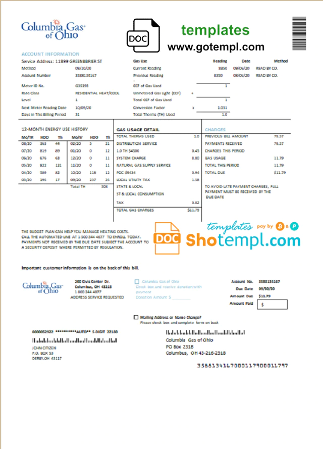 USA Columbia Gas Of Ohio Utility Bill Template In Word Format Bill 