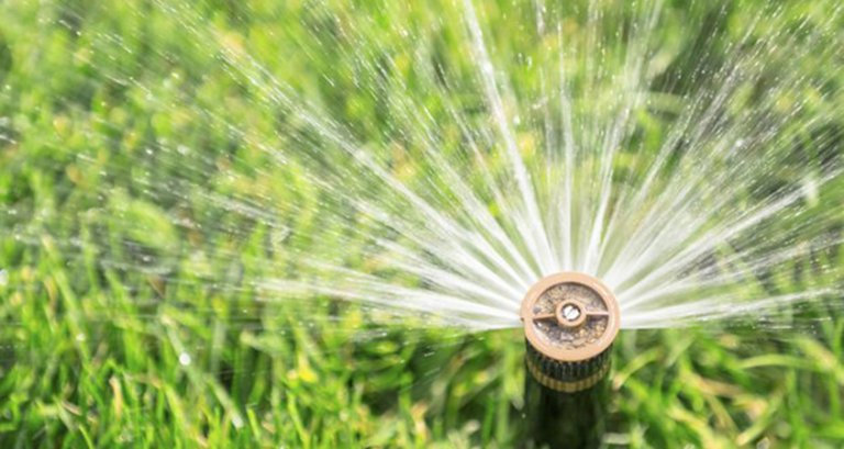 Water Use Efficiency Rebates For A WaterSmart Home Water News Network 